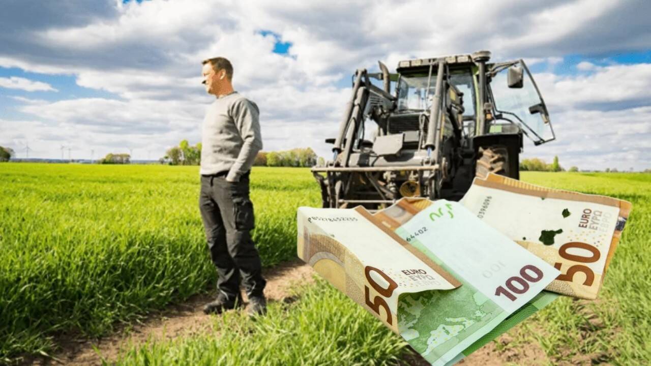 Pe 9 iunie,  C.E. va decide creşterea sau menţinerea subvenţiilor pentru fermierii români