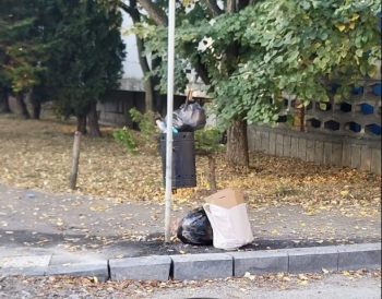Unii sătmăreni își aruncă gunoiul menajer în coșurile stradale