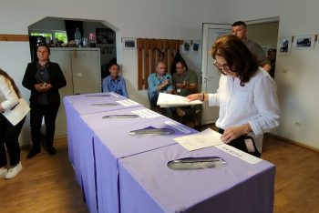 Rezultate provizorii la alegerile din județul Satu Mare