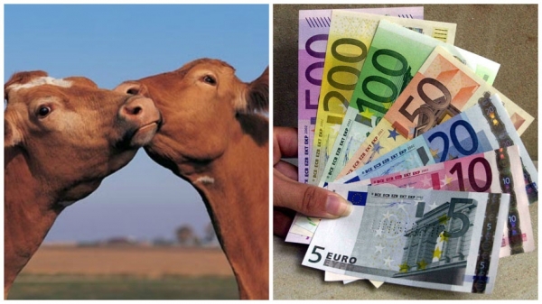 Fermierii din Ungaria primesc subvenţie dublă pe litrul de lapte, față de români