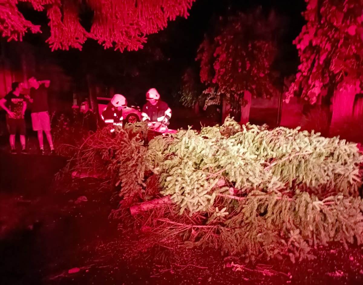 Zeci de copaci căzuți în județul Satu Mare în urma furtunii