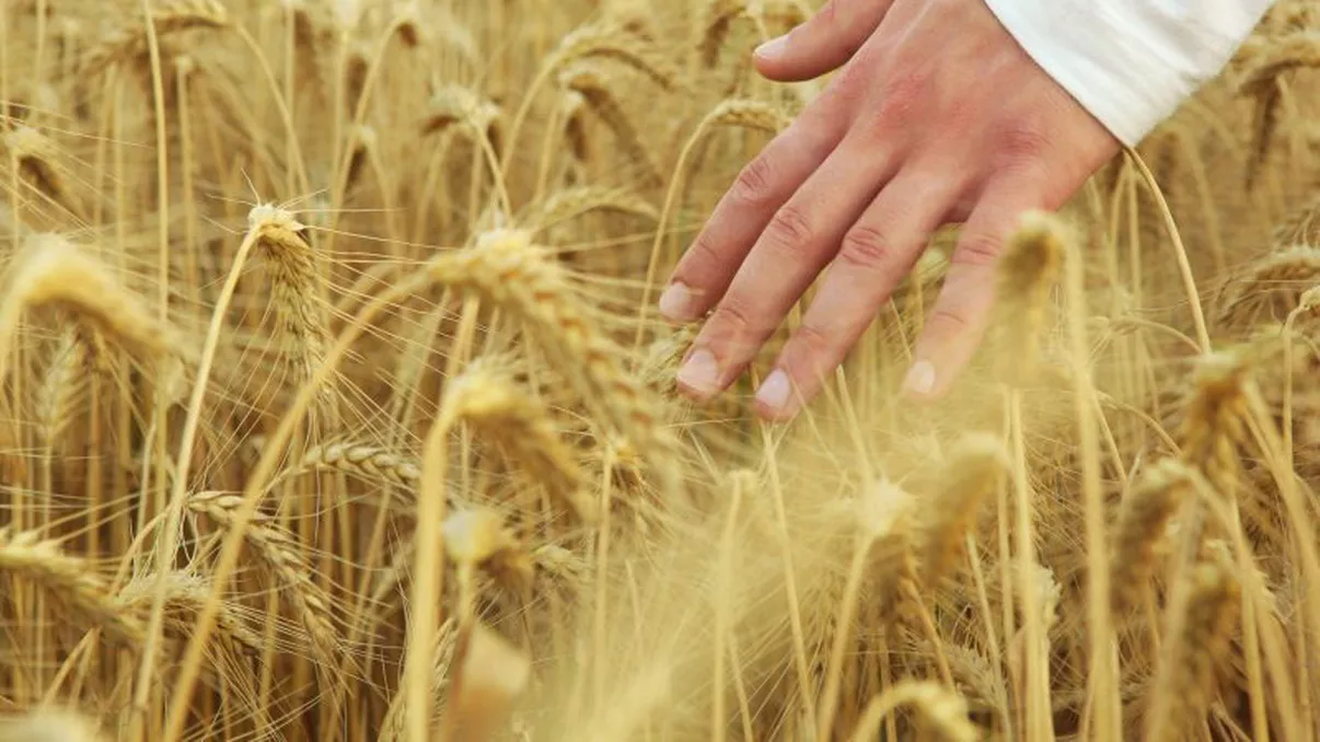 Agricultura românească în pragul colapsului