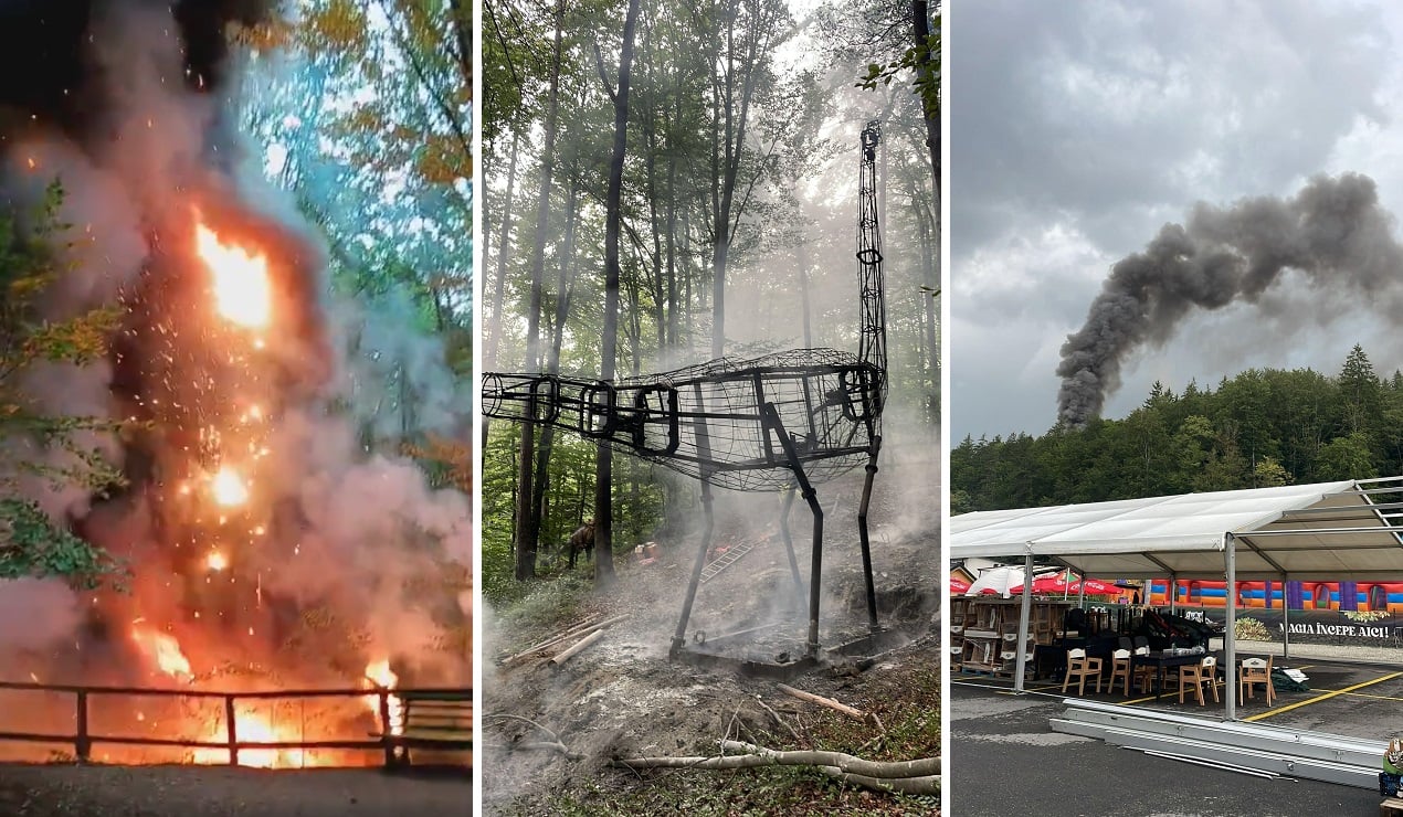 Un incendiu puternic a distrus o machetă de dinozaur de zece metri la Dino Parc Râșnov