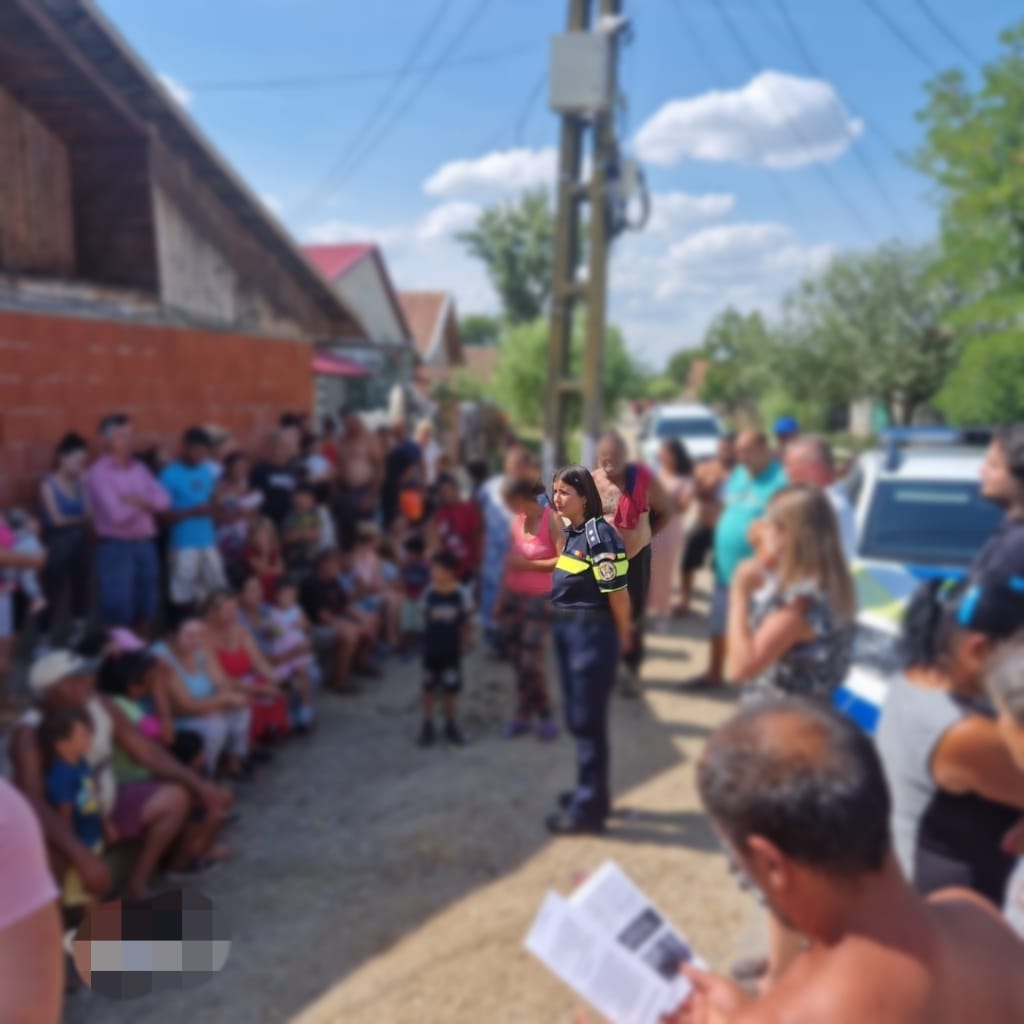 Activități de prevenire și combatere a infracționalității stradale,  în municipiul Satu Mare