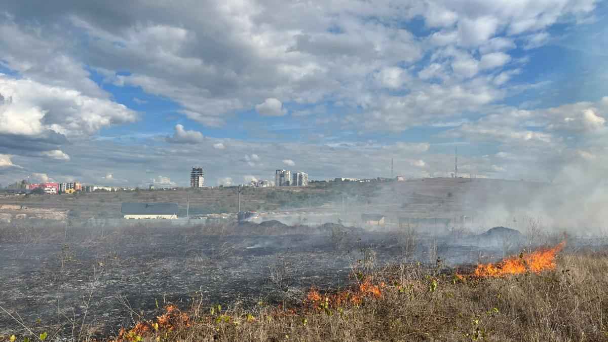 Incendiu de vegetație uscată în Viile Satu Mare stins de pompieri după 4 ore de intervenție