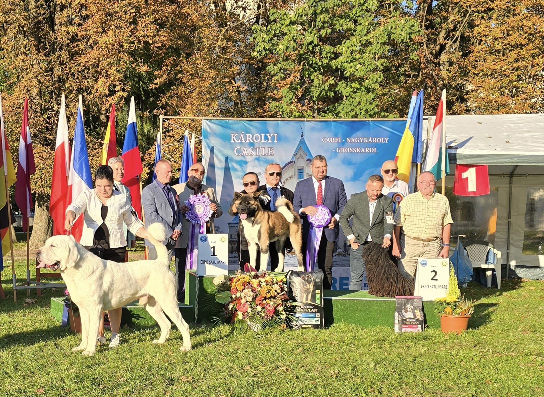 Dog Show la castel: Câini deosebiți la evenimentul chinologic din Carei