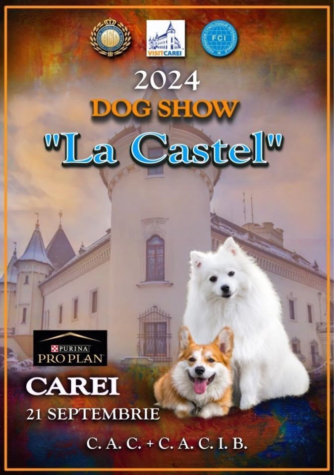 Dog Show la Castelul Karoly din Carei