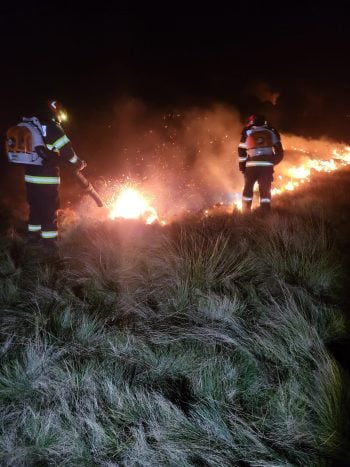 Pompierii au intervenit pentru a opri extinderea focului în zona împădurită