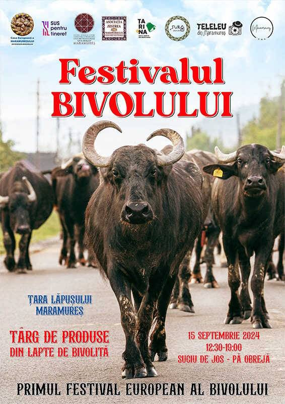 Pe 15 septembrie, în Maramureş, primul festival european al bivolului, târg de produse din lapte de bivoliţă