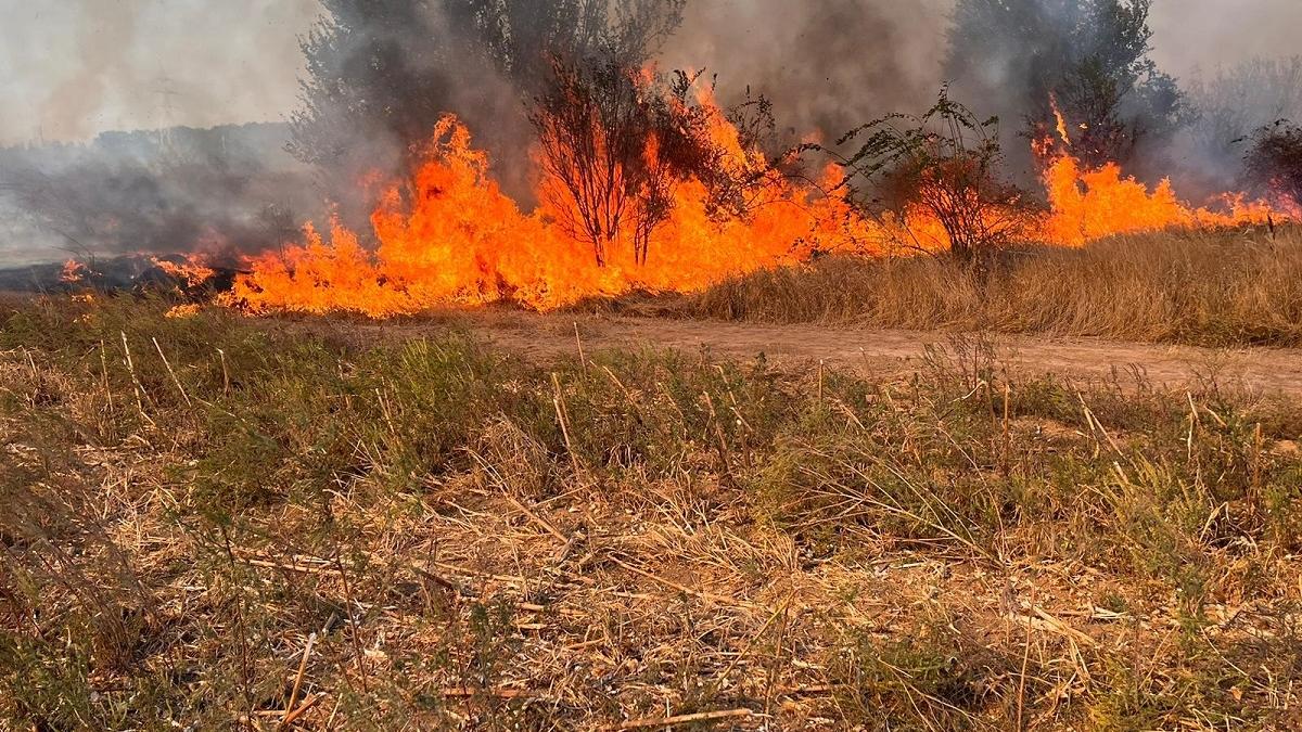 În luna august, 172 de hectare din județul Satu Mare au ars în incendii