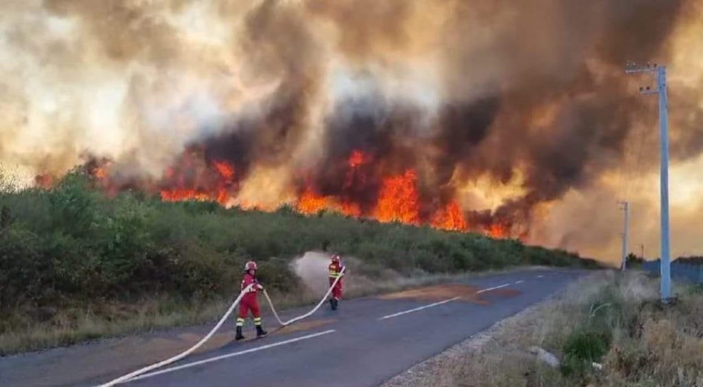 500 de hectare de vegetație au ars în incendiul de sâmbătă din Maramureș