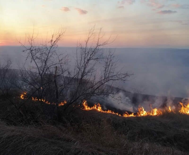 Intervenții de Urgență în Satu Mare