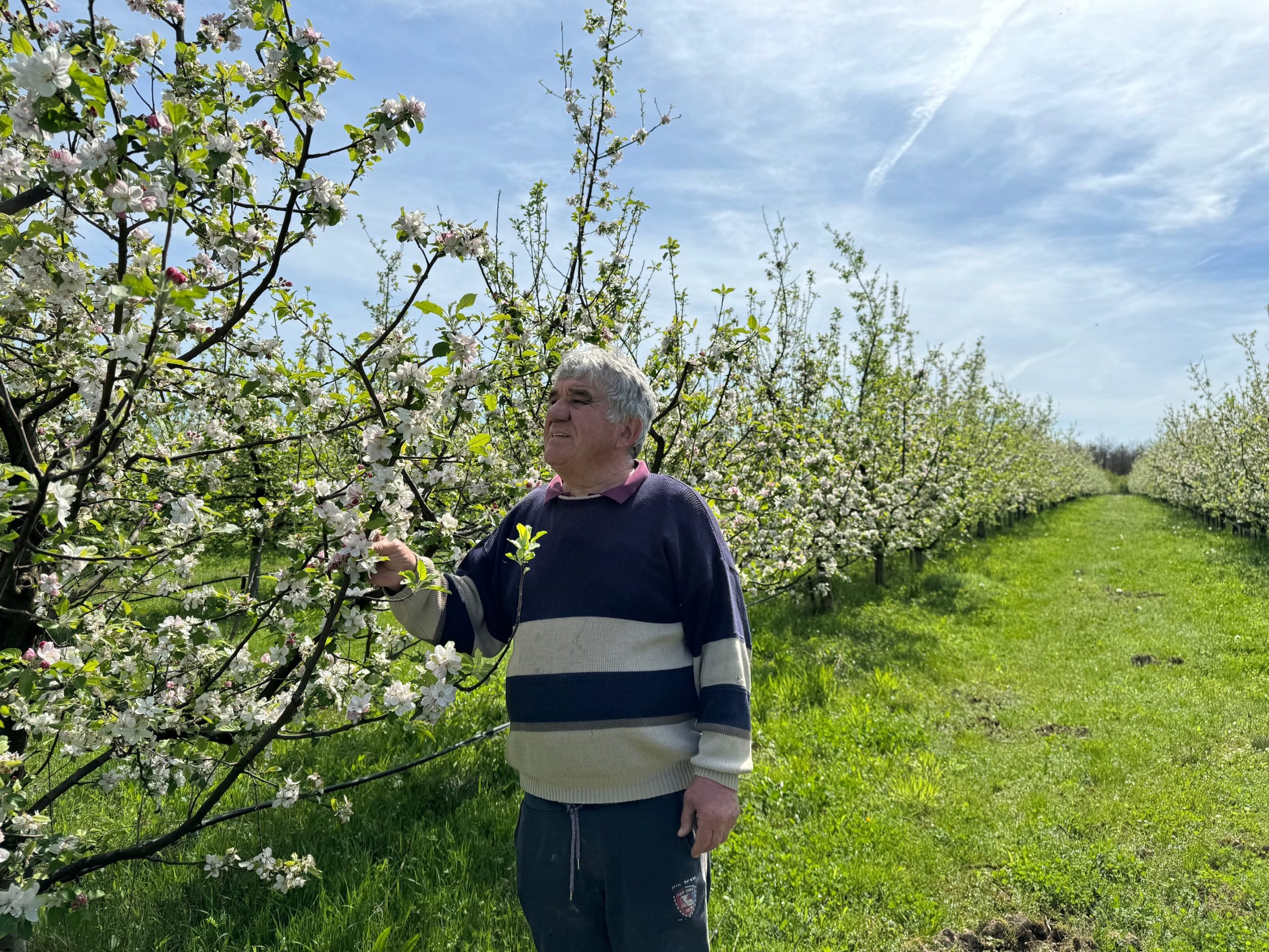 An dificil pentru horticultori din județul Satu Mare