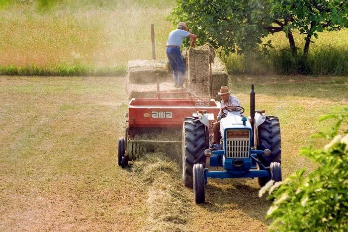 Efectul bumerang al taxei de solidaritate în agricultură