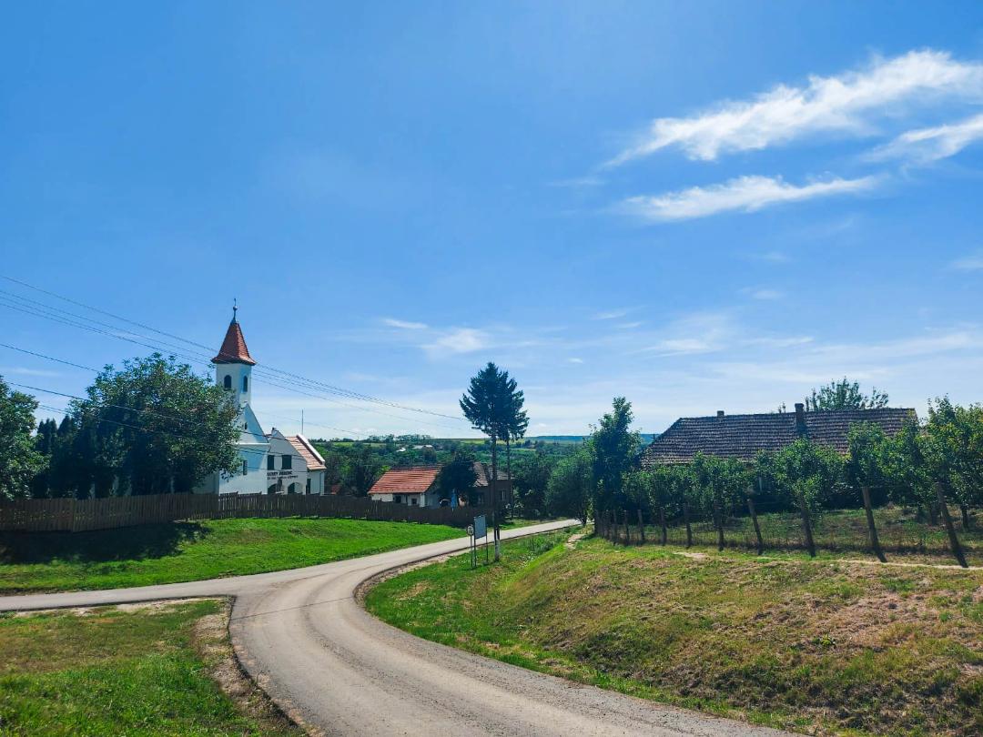 Opt primării din Satu Mare riscă să rămână fără viceprimar