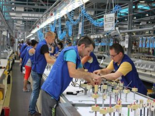 Firma Unilemn D&G angajează muncitori