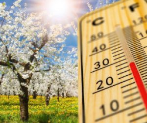 Primăvara se instalează în Satu Mare: Temperaturi plăcute cu scădere spre sfârșitul săptămânii