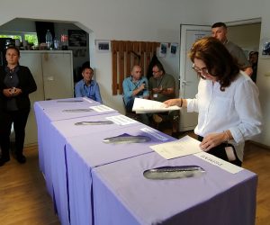 Rezultate provizorii la alegerile din județul Satu Mare